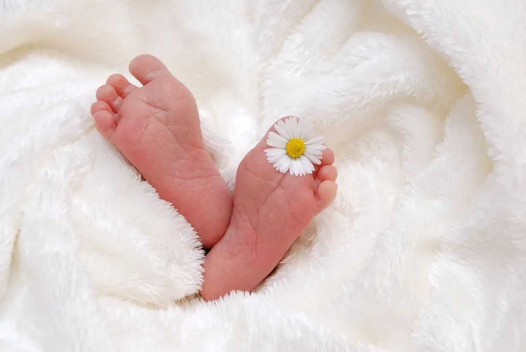 Truth Behind Embryo Grades