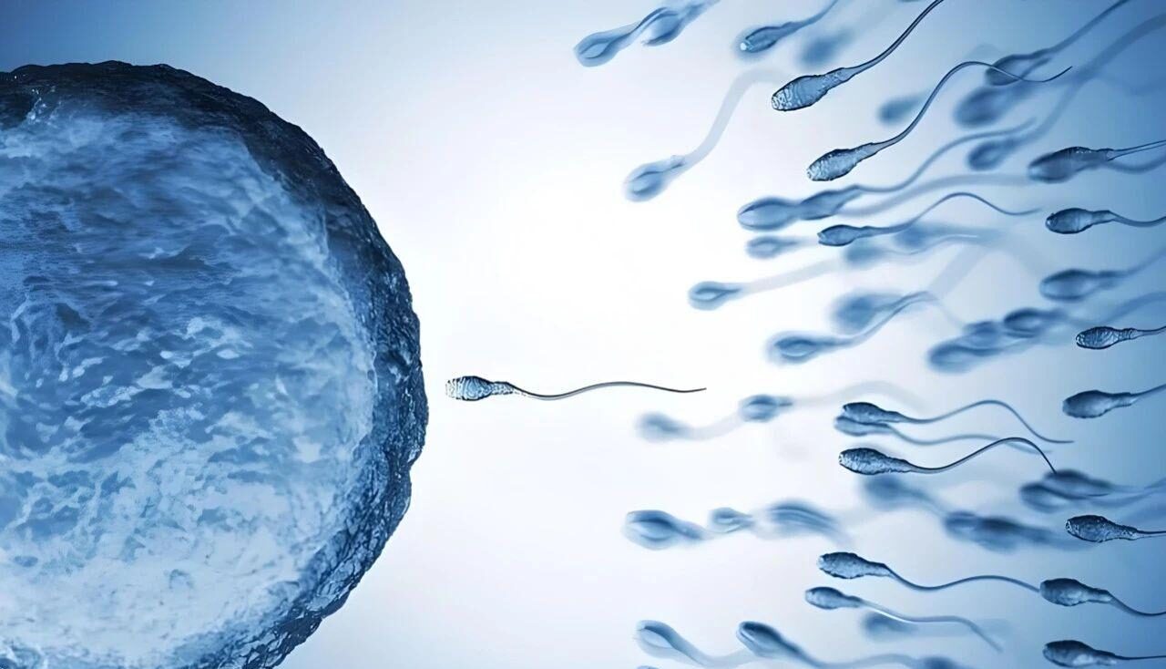 Second Generation IVF Technology