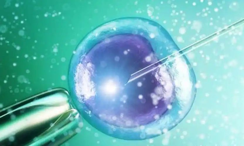 Complete Guide to Natural Cycle and Ovulation Program Monitoring