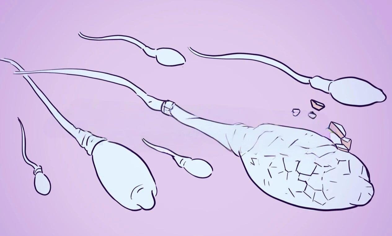 Sperm quality warning men's health