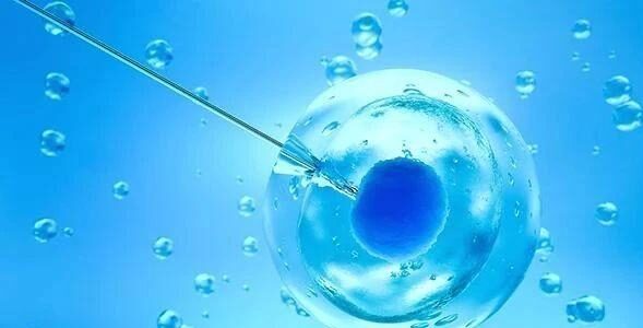 IVF