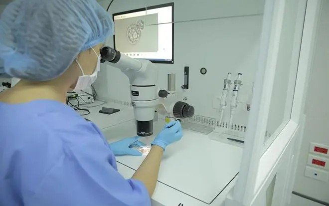 Argentina surrogacy - Embryo culture and legal process