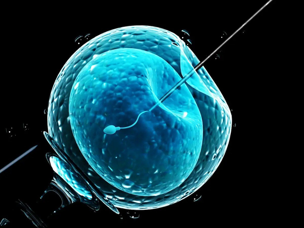 Fertility and <a href=